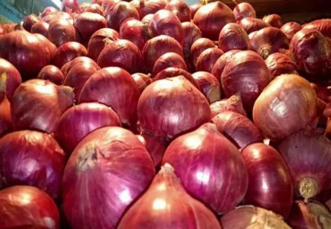 onions price tamilnadu government decide peoples 